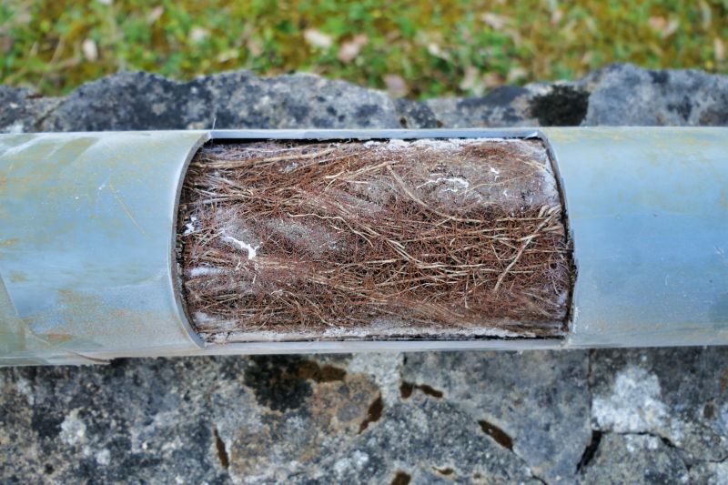 Basement Drain Unclogging