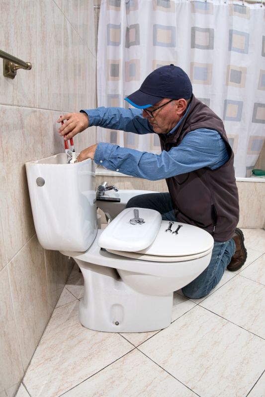 Toilet Removal